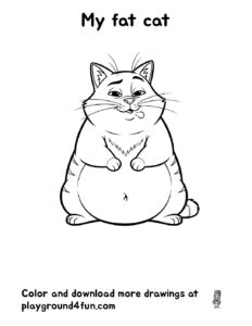 My fat cat