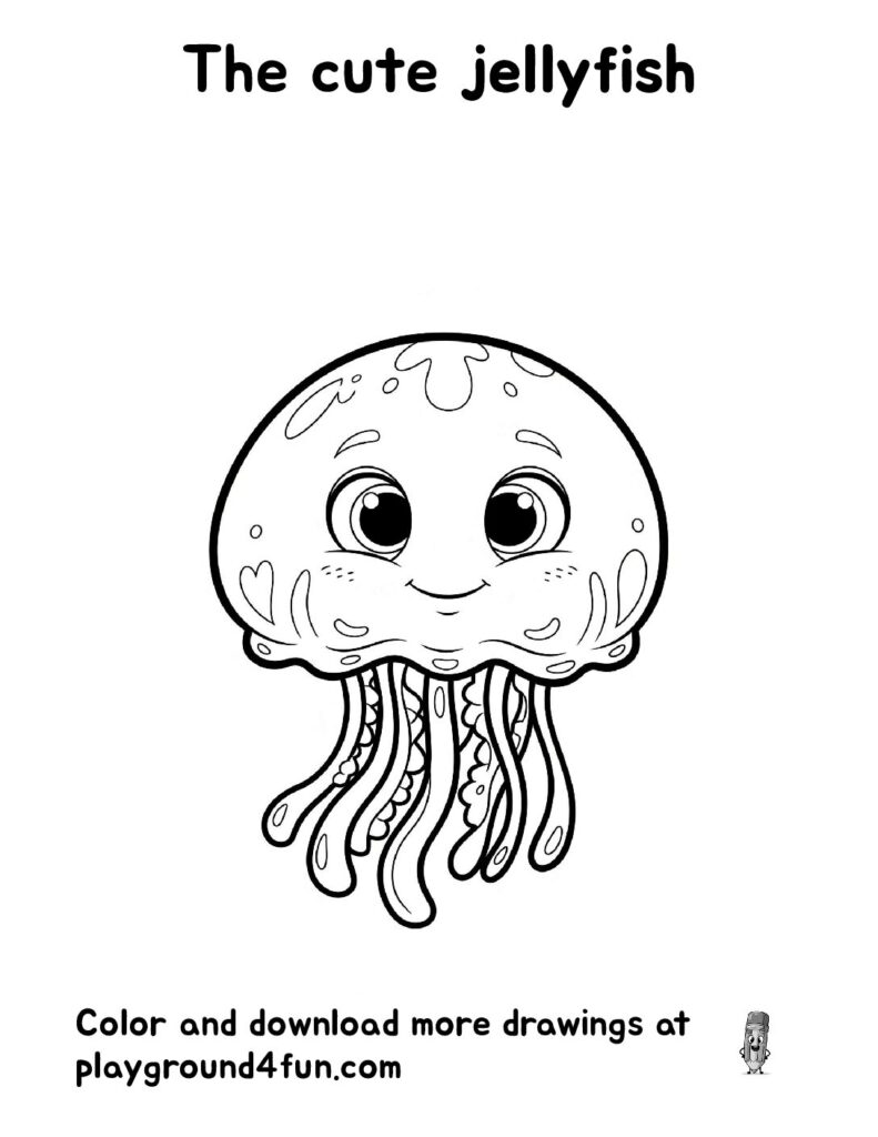The cute jellyfish
