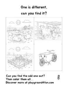 One is different, can you find it? (18)