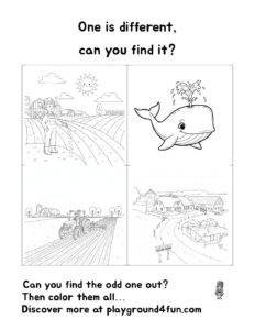 One is different, can you find it? (20)