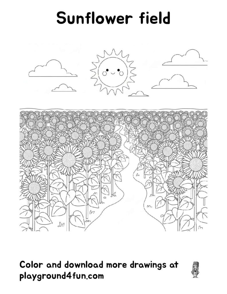 Sunflower Field