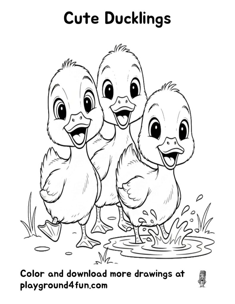 Cute Ducklings