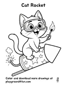 Cat Rocket