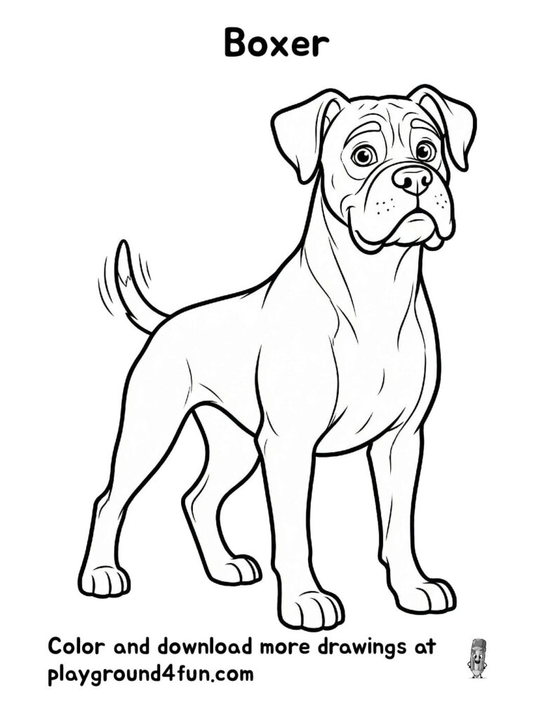 Boxer Coloring Pages
