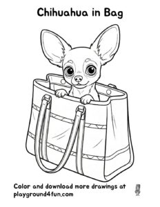 Chihuahua in Bag