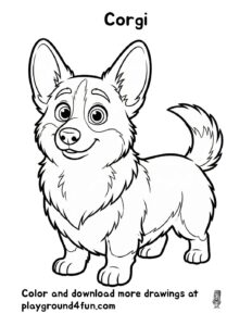 Corgi