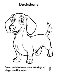 Dachshund