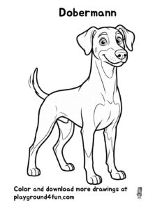 Coloring pages: Dobermann pdf
