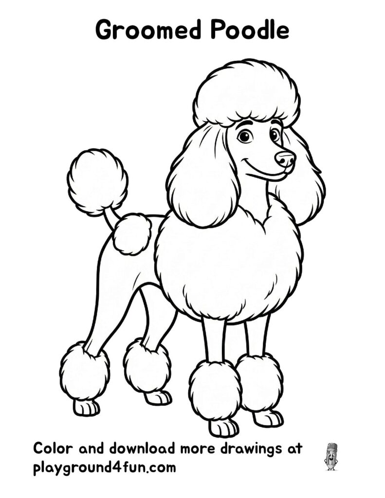 Groomed Poodle Coloring Pages
