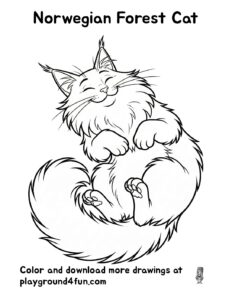 Norwegian Forest Cat