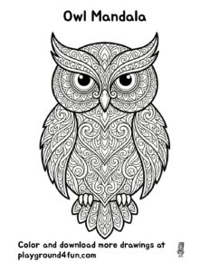 Owl Mandala