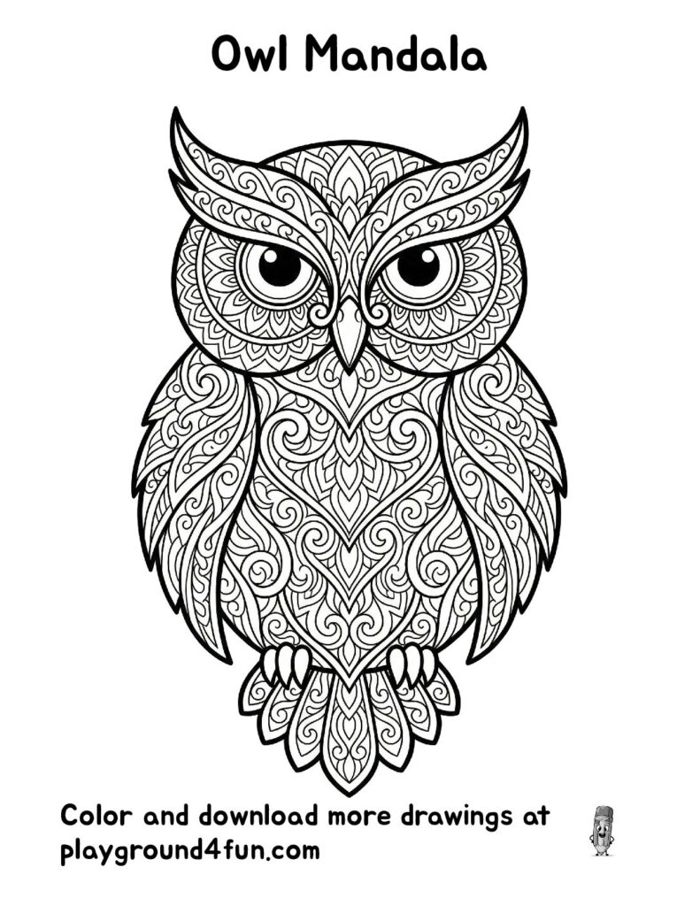 Owl Mandala