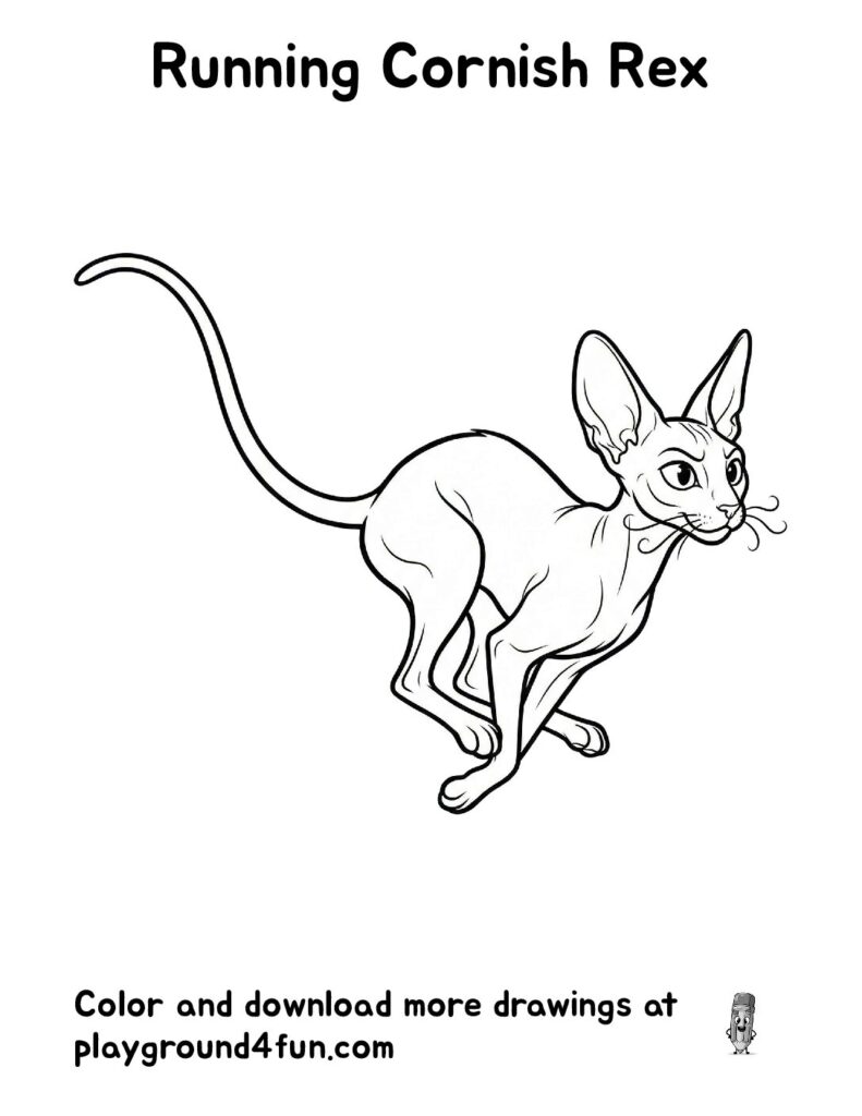 Running Cornish Rex Coloring Pages