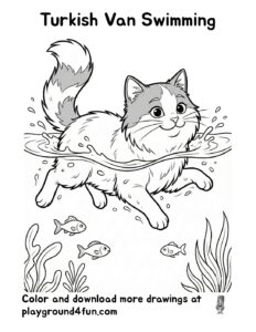 Turkish Van Swimming