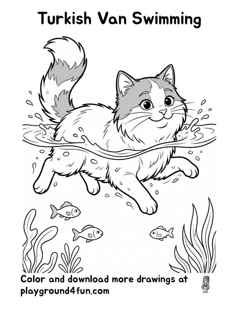 Turkish Van Swimming Coloring Pages