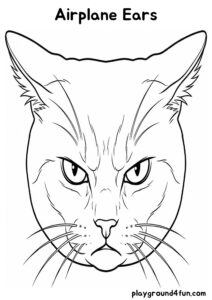 Coloring pages: Airplane Ears pdf