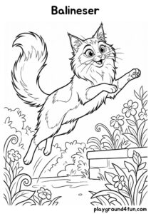 Coloring pages: Balineser pdf