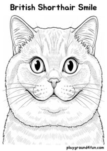 Coloring pages: British Shorthair Smile pdf