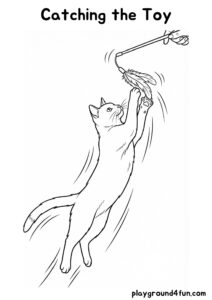 Coloring pages: Catching the Toy pdf