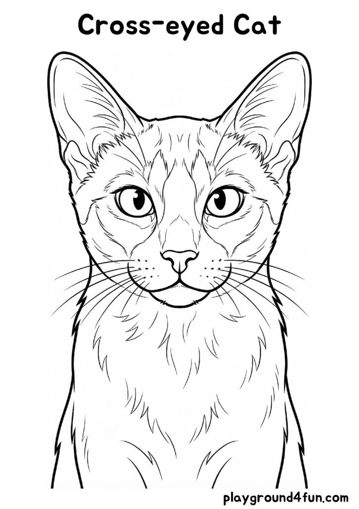 Cross-eyed Cat Coloring Pages