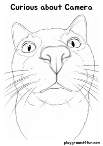Coloring pages: Curious about Camera pdf