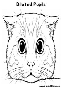 Coloring pages: Dilated Pupils pdf