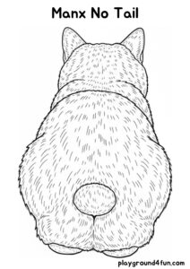 Coloring pages: Manx No Tail pdf