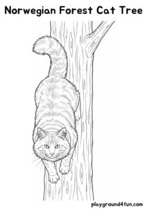 Coloring pages: Norwegian Forest Cat Tree pdf