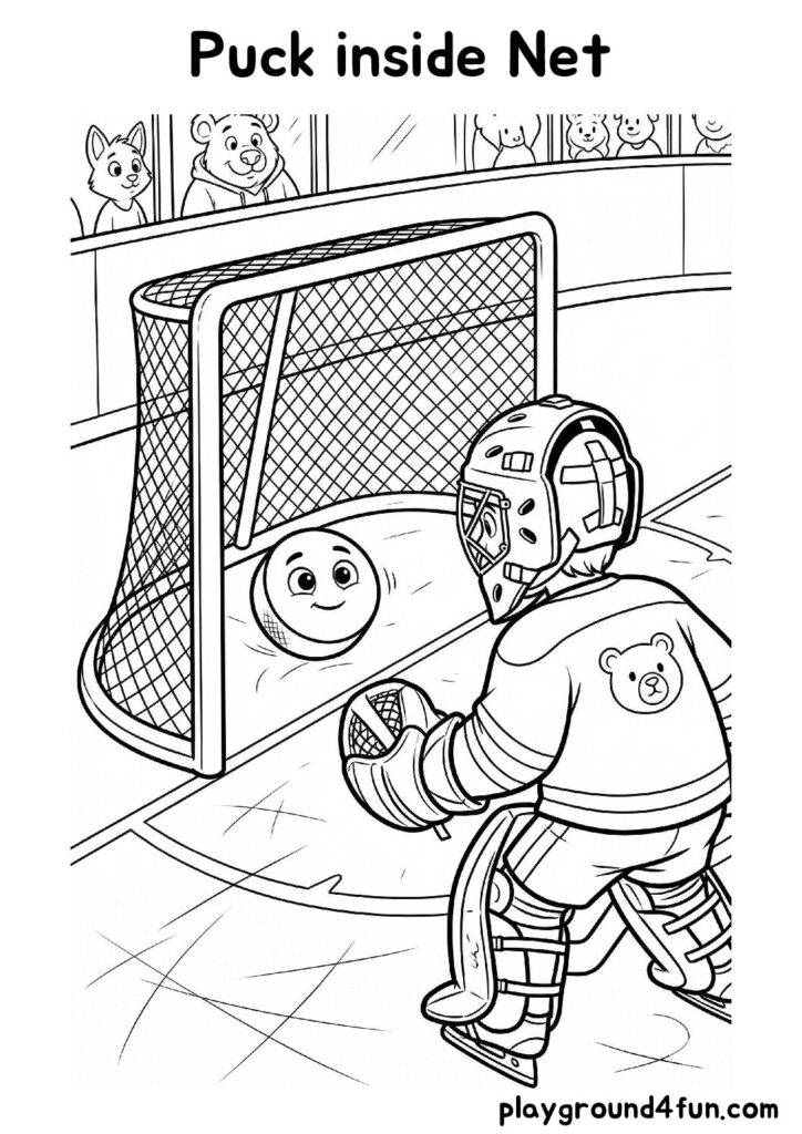 Puck inside Net
