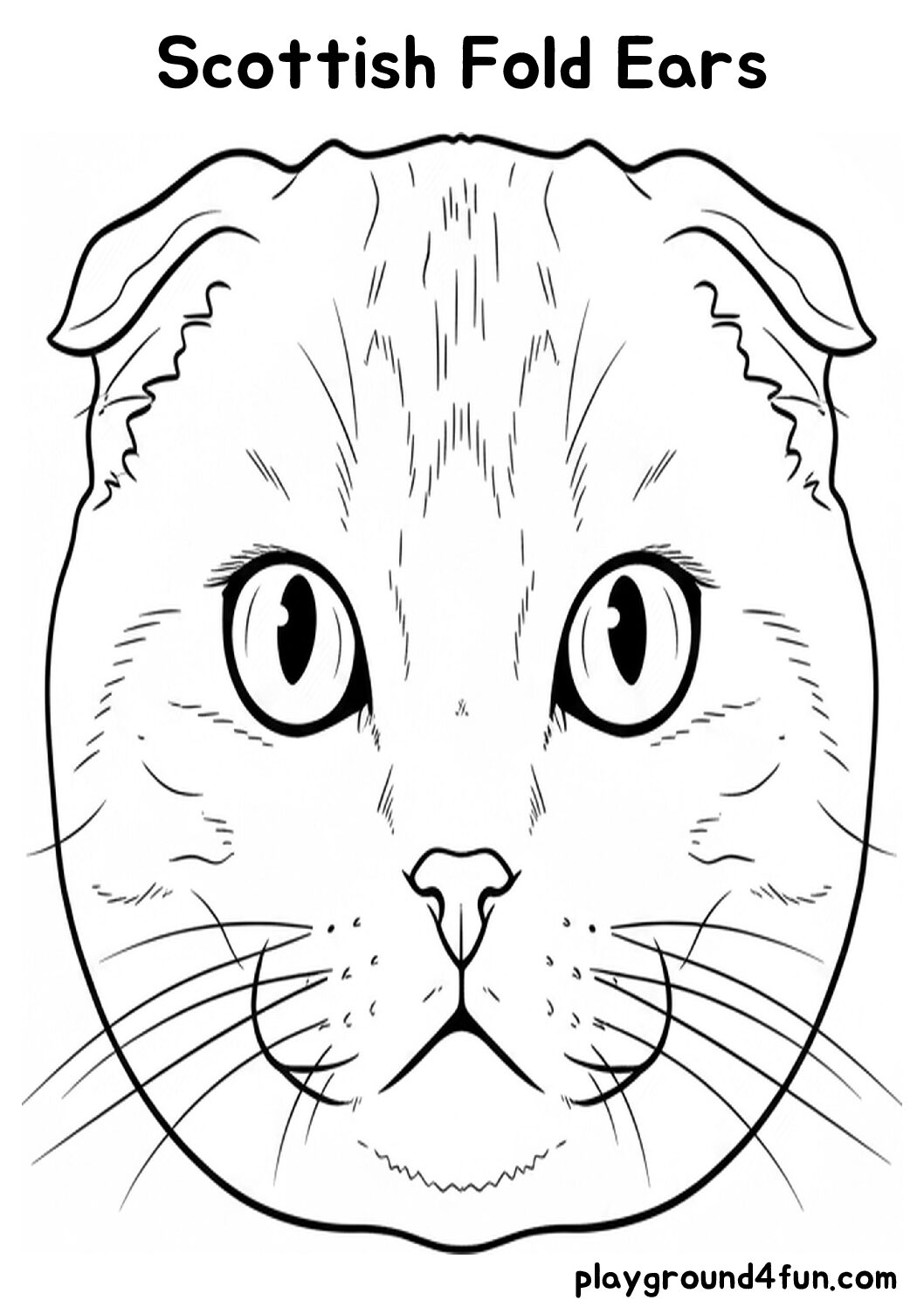 Coloring pages: Scottish Fold Ears pdf
