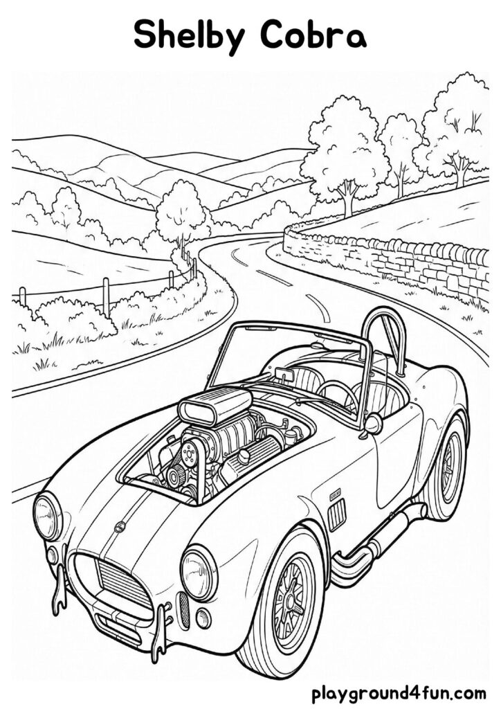 Shelby Cobra