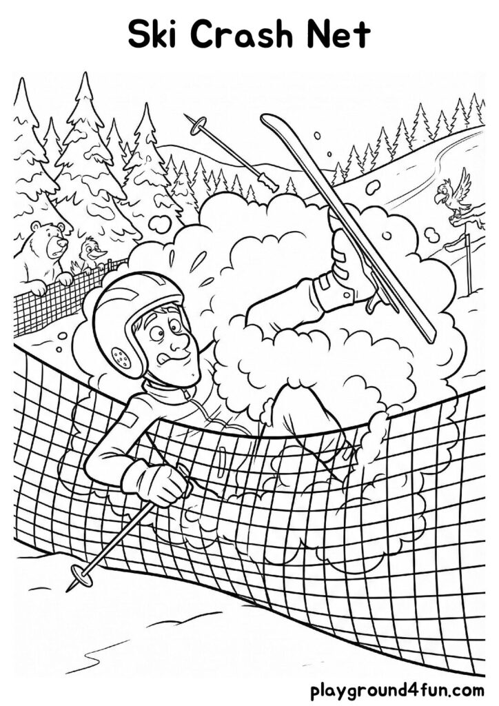 Ski Crash Net