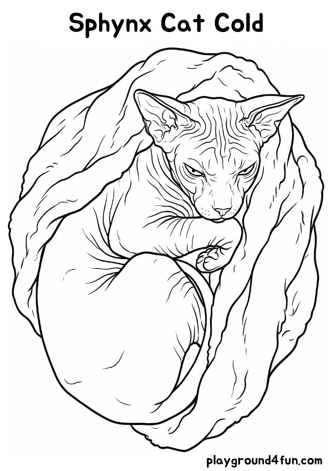 Coloring pages: Sphynx Cat Cold pdf