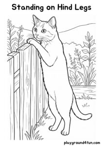 Coloring pages: Standing on Hind Legs pdf