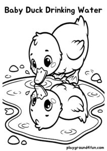 Coloring pages: Baby Duck Drinking Water pdf
