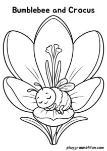 Coloring pages: Bumblebee and Crocus pdf