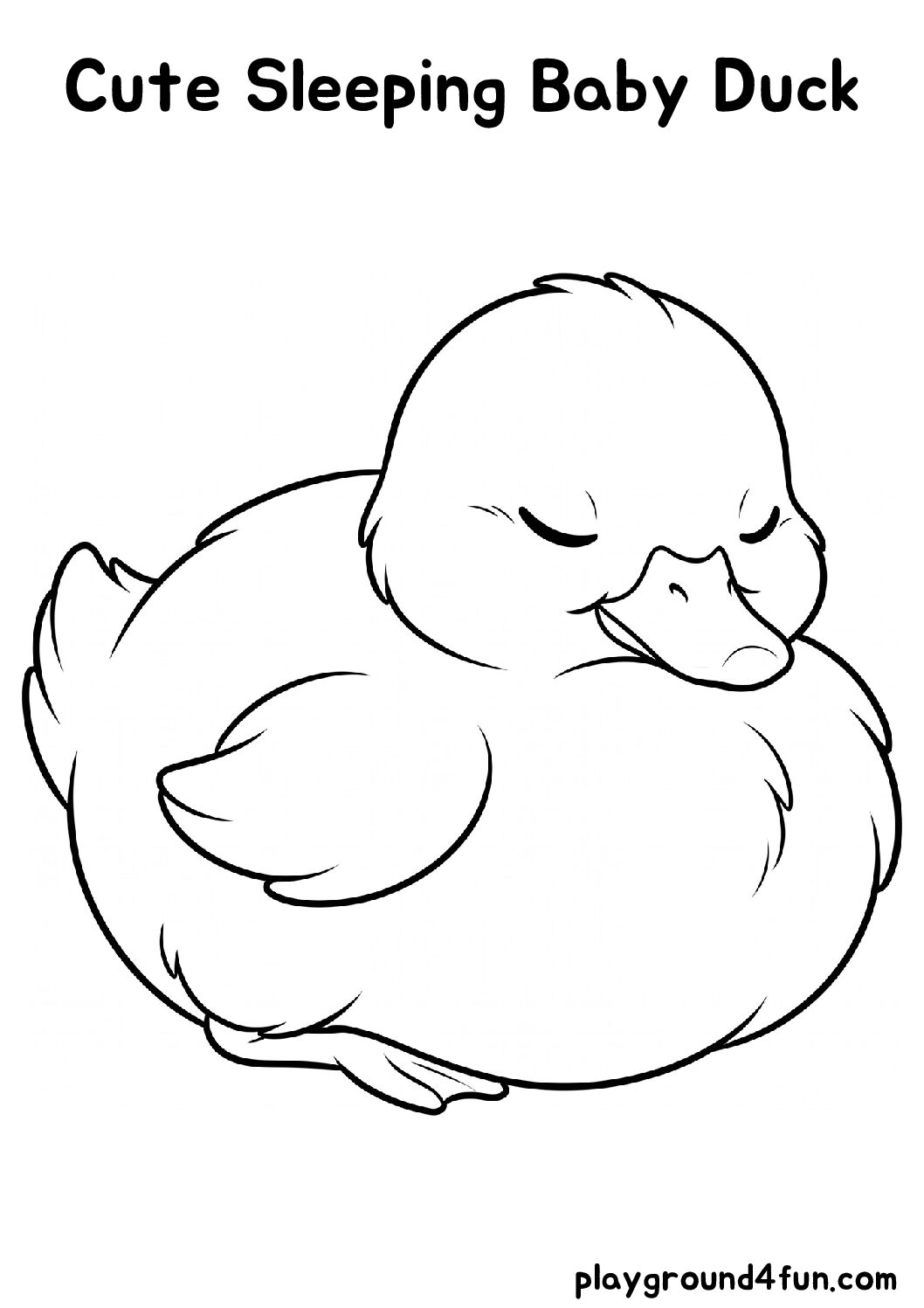 Cute Sleeping Baby Duck
