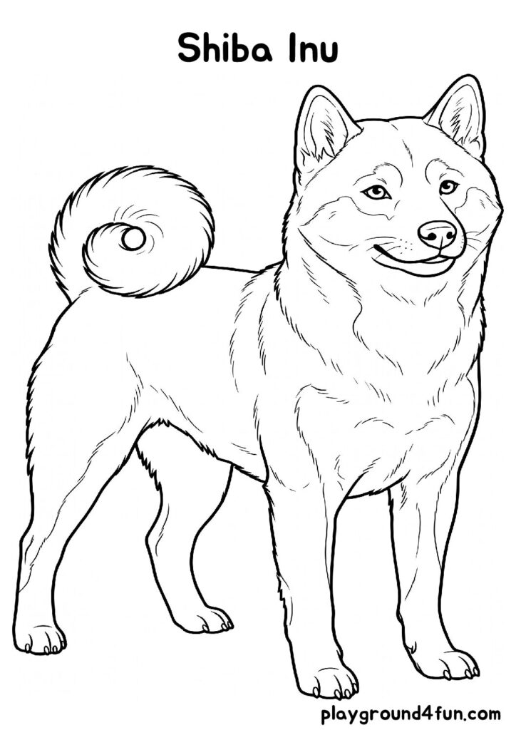 Shiba Inu Coloring Pages