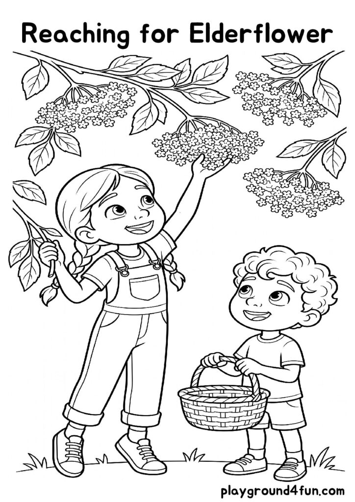 Reaching for Elderflower Coloring Pages