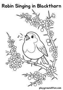 Coloring pages: Robin Singing in Blackthorn pdf