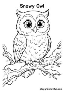 Coloring pages: Snowy Owl pdf
