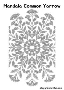Coloring pages: Mandala Common Yarrow pdf