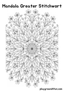 Coloring pages: Mandala Greater Stitchwort pdf