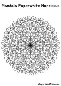 Coloring pages: Mandala Paperwhite Narcissus pdf
