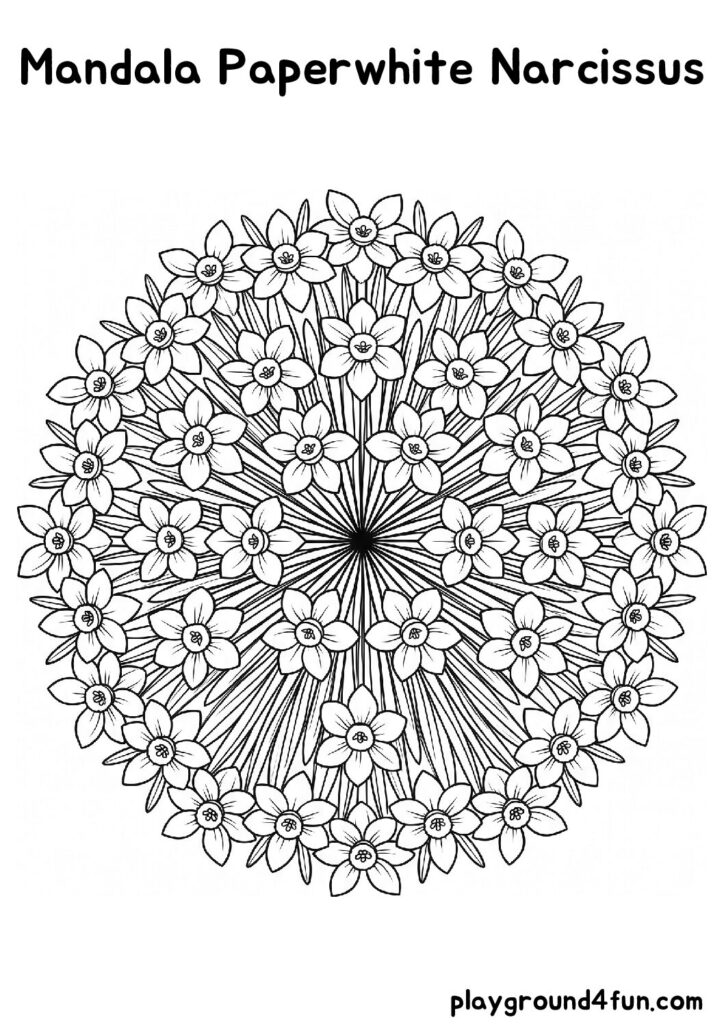 Mandala Paperwhite Narcissus Coloring Pages