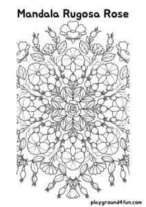 Coloring pages: Mandala Rugosa Rose pdf