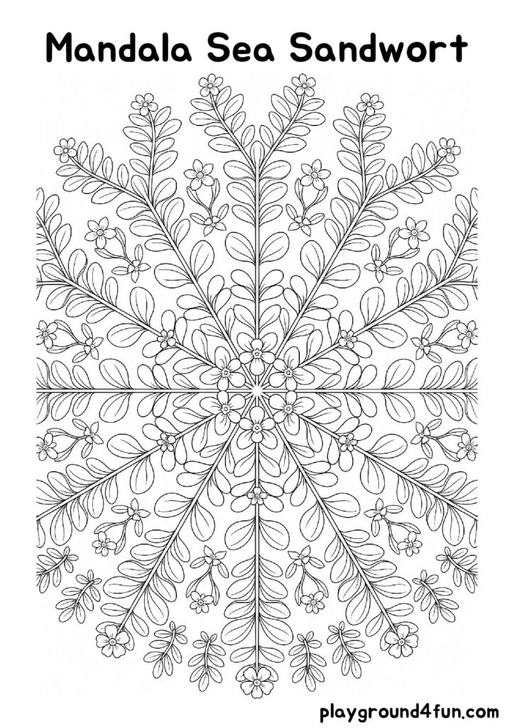 Mandala Sea Sandwort Coloring Pages