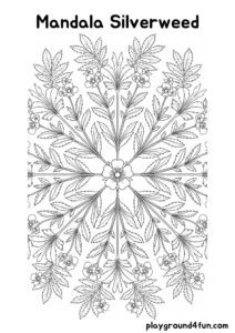 Coloring pages: Mandala Silverweed pdf