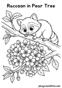 Coloring pages: Raccoon in Pear Tree pdf