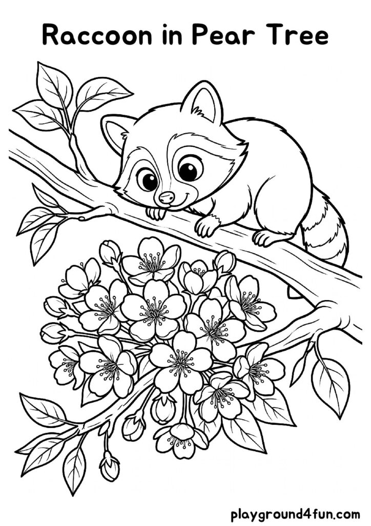 Raccoon in Pear Tree Coloring Pages